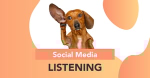 Post Featured Image
