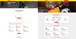 Desarrollo de Anuncios y Páginas de Destino para DHL Caso de Éxito