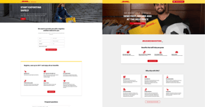 Ads and Landing Page Development for DHL Case Study