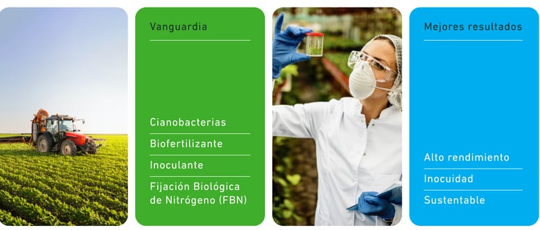 Sitio web de Biovento