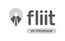 Logo-Fliit
