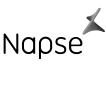 Logo-Napse